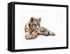 Tiger Cub Colour Pencil Drawing-Sarah Stribbling-Framed Stretched Canvas