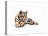 Tiger Cub Colour Pencil Drawing-Sarah Stribbling-Stretched Canvas