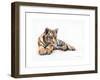 Tiger Cub Colour Pencil Drawing-Sarah Stribbling-Framed Art Print