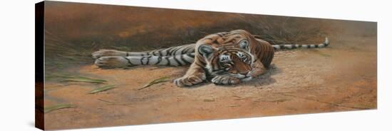 Tiger Cub Heat of the Day-Michael Jackson-Stretched Canvas