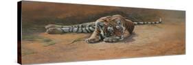 Tiger Cub Heat of the Day-Michael Jackson-Stretched Canvas