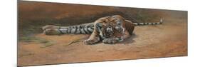 Tiger Cub Heat of the Day-Michael Jackson-Mounted Giclee Print