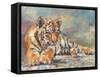 Tiger Cub Lounging-David Stribbling-Framed Stretched Canvas