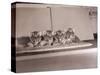 Tiger Cub Quadruplets at Bronx Zoo-null-Stretched Canvas