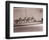 Tiger Cub Quadruplets at Bronx Zoo-null-Framed Photographic Print