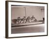 Tiger Cub Quadruplets at Bronx Zoo-null-Framed Photographic Print