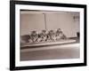 Tiger Cub Quadruplets at Bronx Zoo-null-Framed Photographic Print