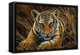 Tiger Cub-Jeremy Paul-Framed Stretched Canvas