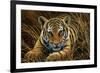 Tiger Cub-Jeremy Paul-Framed Giclee Print