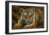 Tiger Cub-Jeremy Paul-Framed Giclee Print