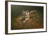 Tiger Cub-Michael Jackson-Framed Giclee Print