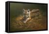 Tiger Cub-Michael Jackson-Framed Stretched Canvas