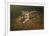 Tiger Cub-Michael Jackson-Framed Giclee Print