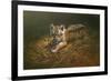 Tiger Cub-Michael Jackson-Framed Giclee Print