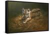 Tiger Cub-Michael Jackson-Framed Stretched Canvas