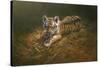 Tiger Cub-Michael Jackson-Stretched Canvas