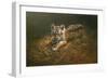 Tiger Cub-Michael Jackson-Framed Giclee Print