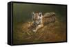 Tiger Cub-Michael Jackson-Framed Stretched Canvas