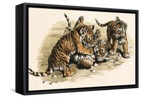 Tiger Cubs-null-Framed Stretched Canvas