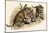 Tiger Cubs-null-Mounted Giclee Print