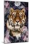 Tiger Deep Floral-Kimberly Allen-Mounted Art Print