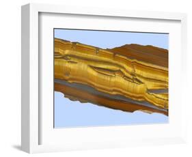 Tiger Eye Gemstone-Walter Geiersperger-Framed Photographic Print