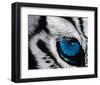 Tiger Eye-Jan Henderson-Framed Art Print