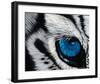 Tiger Eye-Jan Henderson-Framed Art Print