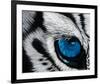 Tiger Eye-Jan Henderson-Framed Art Print