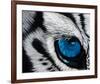 Tiger Eye-Jan Henderson-Framed Art Print