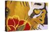 Tiger Eye-Graeme Stevenson-Stretched Canvas