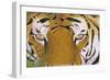 Tiger Eyes-Graeme Stevenson-Framed Giclee Print