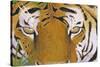 Tiger Eyes-Graeme Stevenson-Stretched Canvas