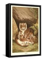 Tiger Family-null-Framed Stretched Canvas