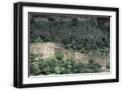 Black Frame
