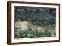 Brown Frame