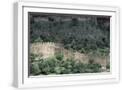 White Frame