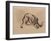 Tiger Frightened by a Snake, 1858 (Pen and Ink on Tracing Paper)-Eugene Delacroix-Framed Giclee Print