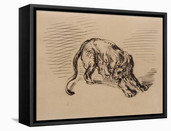 Tiger Frightened by a Snake, 1858 (Pen and Ink on Tracing Paper)-Eugene Delacroix-Framed Stretched Canvas