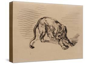 Tiger Frightened by a Snake, 1858 (Pen and Ink on Tracing Paper)-Eugene Delacroix-Stretched Canvas