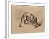 Tiger Frightened by a Snake, 1858 (Pen and Ink on Tracing Paper)-Eugene Delacroix-Framed Giclee Print