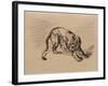 Tiger Frightened by a Snake, 1858 (Pen and Ink on Tracing Paper)-Eugene Delacroix-Framed Giclee Print