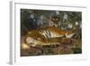 Tiger from Annam; Tigre de l'Annam-Gustave Surand-Framed Giclee Print