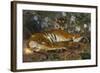 Tiger from Annam; Tigre de l'Annam-Gustave Surand-Framed Giclee Print