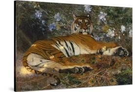 Tiger from Annam; Tigre de l'Annam-Gustave Surand-Stretched Canvas