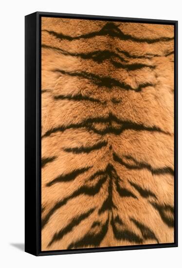 Tiger Fur-DLILLC-Framed Stretched Canvas