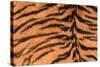 Tiger Fur-DLILLC-Stretched Canvas