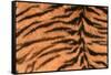 Tiger Fur-DLILLC-Framed Stretched Canvas