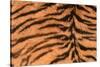 Tiger Fur-DLILLC-Stretched Canvas