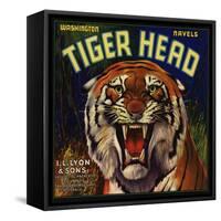 Tiger Head Brand - Redlands, California - Citrus Crate Label-Lantern Press-Framed Stretched Canvas